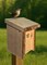 Rustic Bark Edge Birdhouse for your Garden, Small Rustic Lodge Style